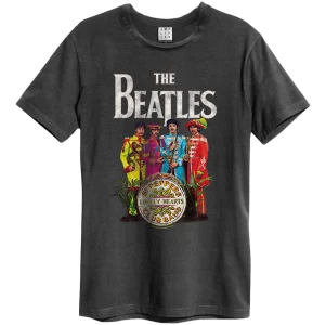The Beatles - Lonely Hearts