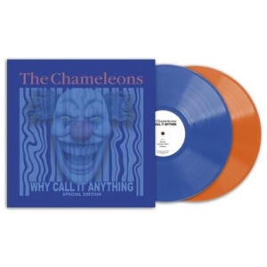 The Chameleons - What Does Anything Mean? Basically