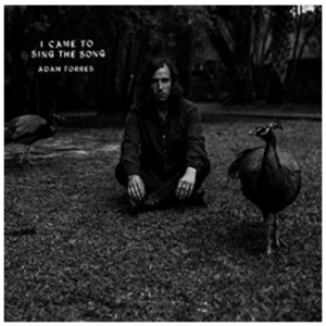 Adam Torres - I Came to Sing the Song