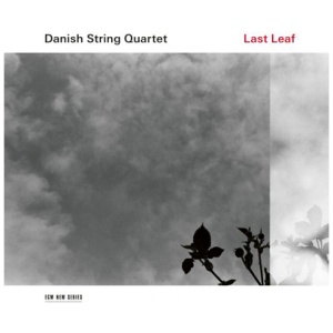 Danish String Quartet - Last Leaf
