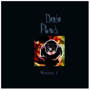 Bardo Pond - Volume 1 (RSD 2021):