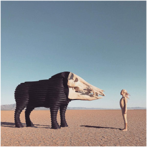 Dream Hunting in the Valley of the In-between: