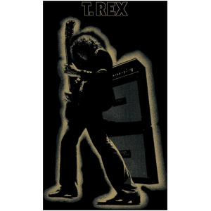 Electric Warrior