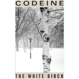 The White Birch