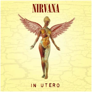 In Utero