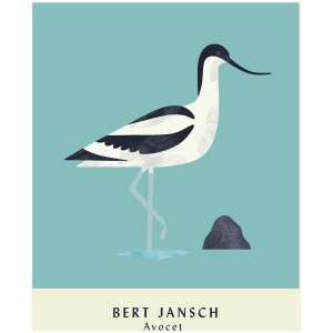 Avocet