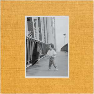 Wallflower: