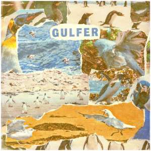 Gulfer: