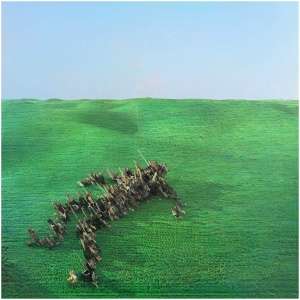 Bright Green Field