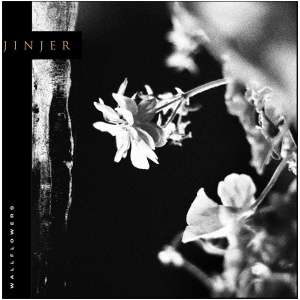 Wallflowers: