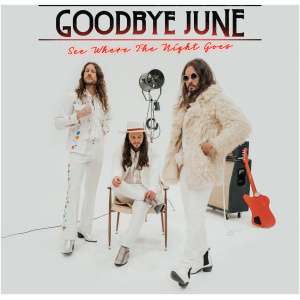 See Where the Night Goes