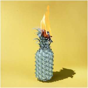 Under the Shade of Green