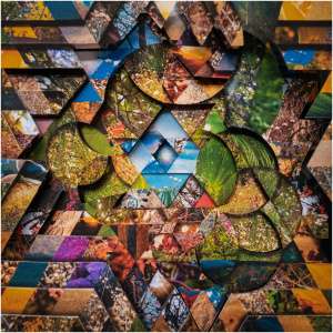 Les Jardins Mystiques- Volume 1