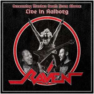 Screaming Murder Death from Above: Live in Aalborg