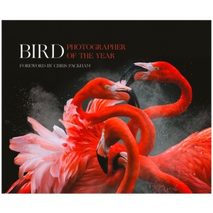 Bird Photographer of the Year: Collection 3