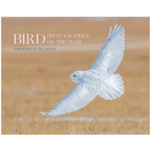 Bird Photographer of the Year: Collection 6