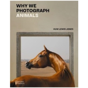 Why We Photograph Animals