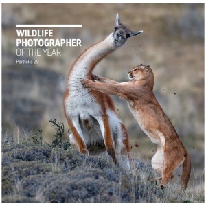 Wildlife Photographer of the Year: Portfolio 29