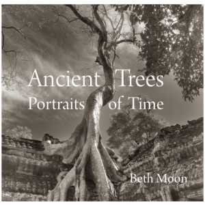 Ancient Trees: Portraits of Time