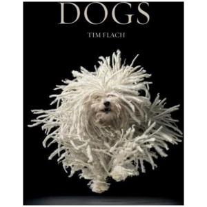 Dogs