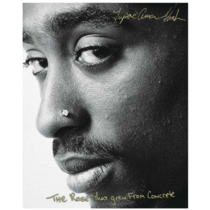 The Rose that Grew from Concrete