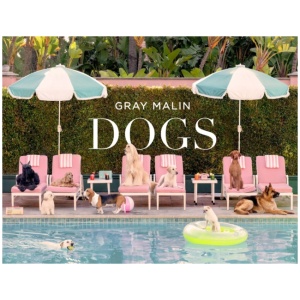 Gray Malin: Dogs: Photographs