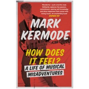 How Does It Feel?: A Life of Musical Misadventures