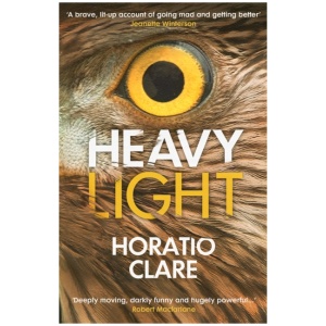 Heavy Light: A Journey Through Madness, Mania and Healing