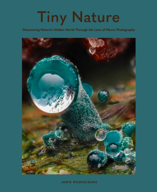 Tiny Nature: Discovering Nature's Hidden World Through the Lens of Macrophotography