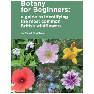 Botany for Beginners: a guide to identifying the most common British wildflowers