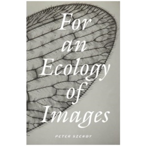 For an Ecology of Images