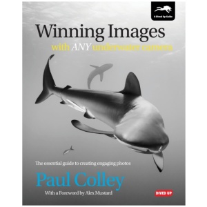 Winning Images with Any Underwater Camera: The Essential Guide to Creating Engaging Photos