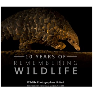 Ten Years of Remembering Wildlife