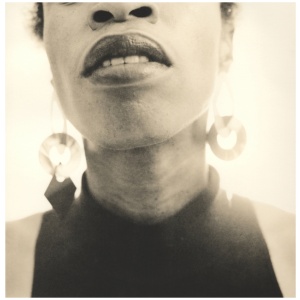 Joy Gregory: Catching Flies With Honey