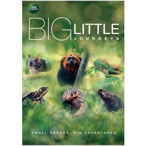Big Little Journeys