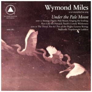 Under the Pale Moon