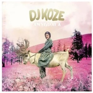 DJ Koze - Amygdala