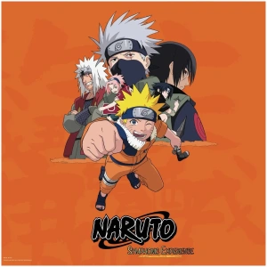 Sylvain Audinovski - Naruto Symphonic Experience