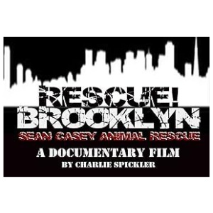 Rescue! Brooklyn