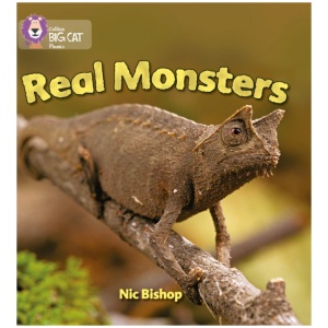 Real Monsters: Band 03/Yellow