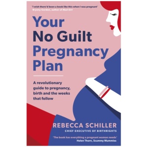 Your No Guilt Pregnancy Plan: A revolutionary guide to pregnancy, birth and the weeks that follow
