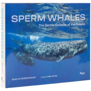 Sperm Whales: The Gentle Goliaths of the Ocean