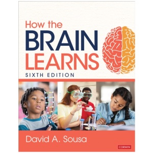 How the Brain Learns