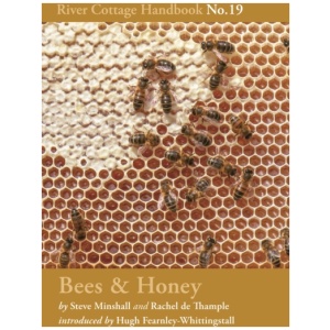 Bees & Honey: River Cottage Handbook No.19