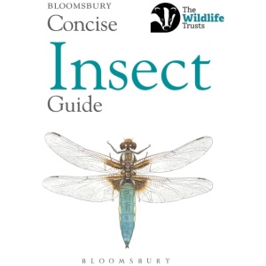 Concise Insect Guide