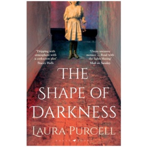 The Shape of Darkness: 'A future gothic classic' Martyn Waites