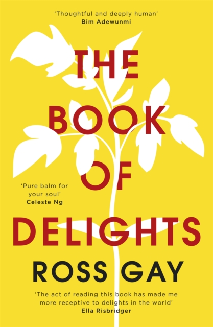 The Book of Delights: The uplifting, life-affirming New York Times bestselling book of joy
