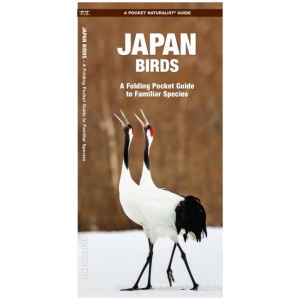 Japan Birds: A Folding Pocket Guide to Familiar Species