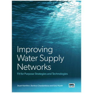 Improving Water Supply Networks: Fit for Purpose Strategies and Technologies