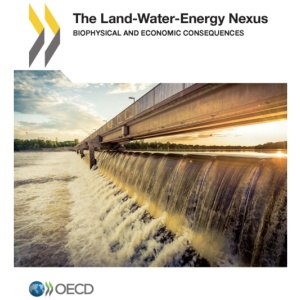The Land-Water-Energy Nexus: Biophysical and Economic Consequences